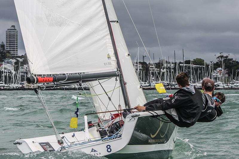 Alastair Gifford - Yachting Developments NZ Match Racing Championships - Day 3  photo copyright Andrew Delves taken at Royal New Zealand Yacht Squadron and featuring the Elliott 6m class