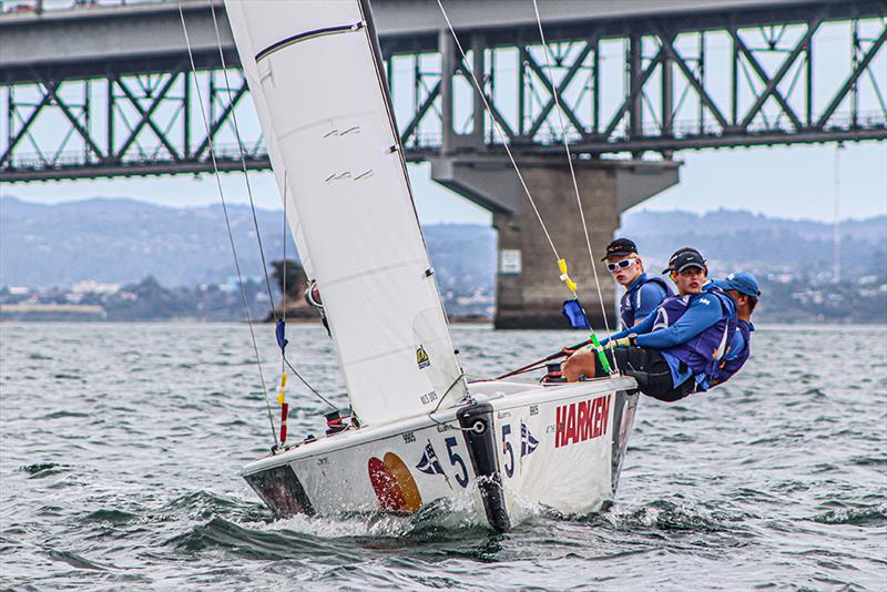 Emil Kjaer photo copyright Andrew Delves taken at Royal New Zealand Yacht Squadron and featuring the Elliott 6m class