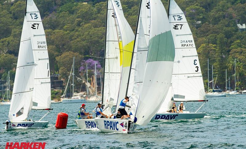 Harken Open Championship 2020 - Day 1 photo copyright Brendan Rourke taken at Royal Prince Alfred Yacht Club and featuring the Elliott 6m class