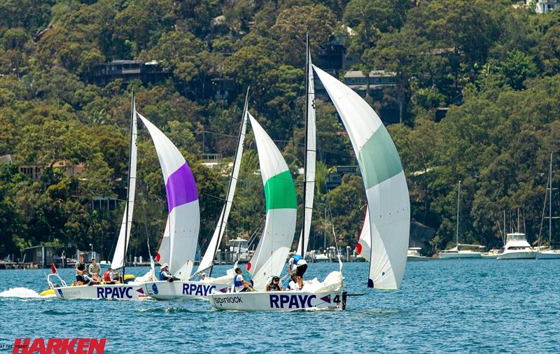 Harken Open Championship 2020 - Day 1 photo copyright Brendan Rourke taken at Royal Prince Alfred Yacht Club and featuring the Elliott 6m class