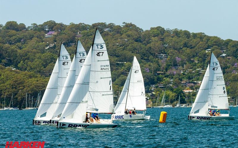 Harken Open Championship 2020 - Day 1 photo copyright Brendan Rourke taken at Royal Prince Alfred Yacht Club and featuring the Elliott 6m class