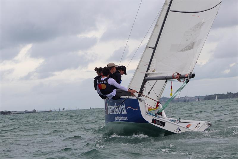 Max McLachan - Harken Auckland Match Racing Championships - December 2021 - Royal New Zealand Yacht Squadron photo copyright Billy Woodworth taken at Royal New Zealand Yacht Squadron and featuring the Elliott 6m class