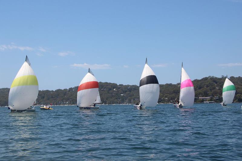 NSW Sailing League - photo © Royal Prince Alfred Yacht Club