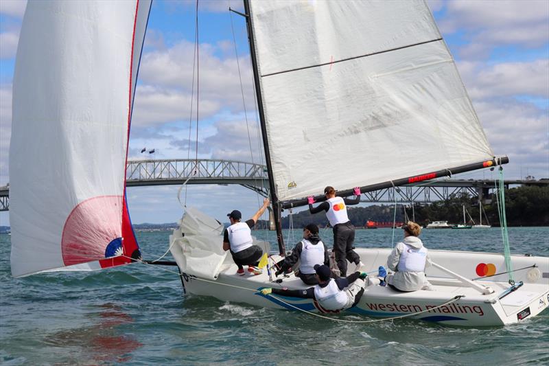 Harken New Zealand Match Racing Championships - RNZYS - October 2022 photo copyright RNZYS Media taken at Royal New Zealand Yacht Squadron and featuring the Elliott 7 class