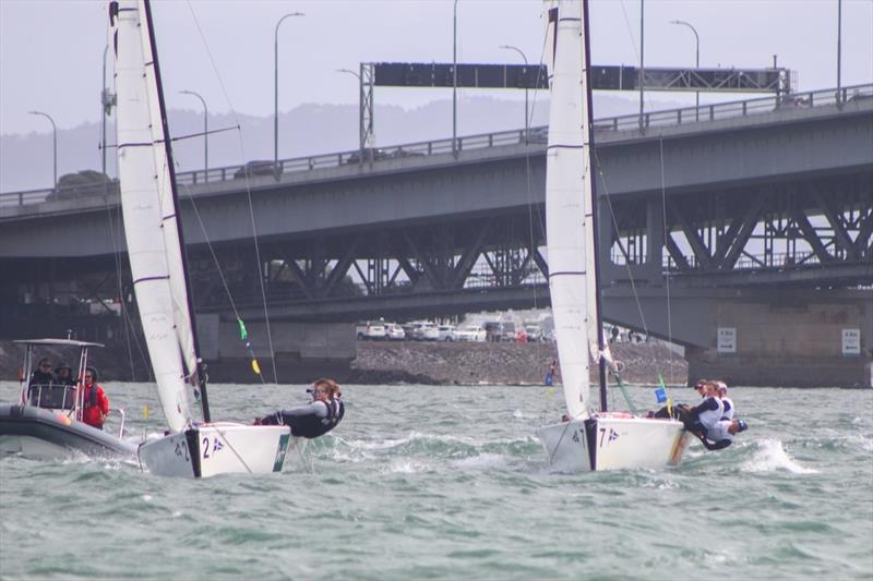 Willison trying to hunt down Courtois in Race 5 of the NZWMRC Final  photo copyright William Woodworth/RNZYS taken at Royal New Zealand Yacht Squadron and featuring the Elliott 7 class