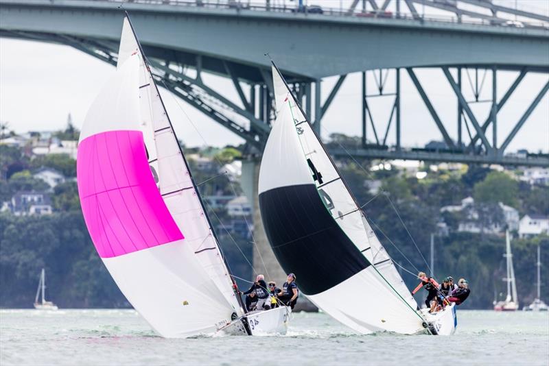 Barfoot & Thompson Women's World Match Racing Championships - Day 3 - November 12, 2022 - Auckland - photo © Adam Mustill