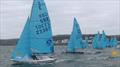 Start of Race 3 during the Enterprise SW Area Championship at Looe © John Crabb