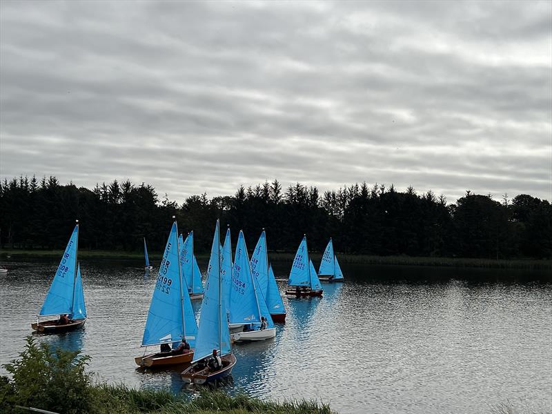 Race 1 of the Enterprise Scottish Bluebell Series at Forfar photo copyright Helen Wiles taken at Forfar Sailing Club and featuring the Enterprise class