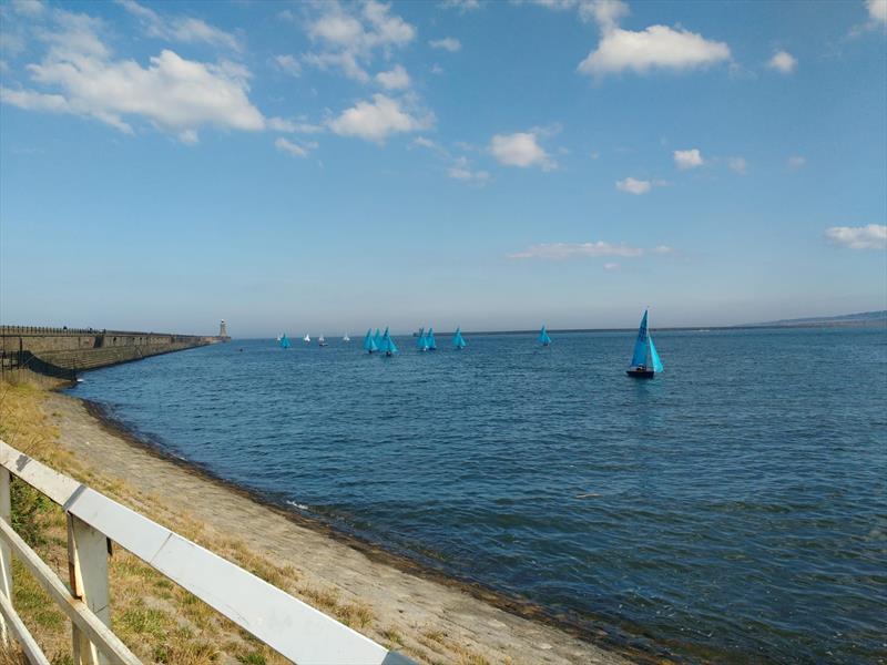 Enterprise racing at Tynemouth Sailing Club - photo © Neil Piper
