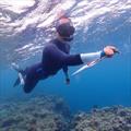 Great Barrier Reef Marine Park: Keeping an eye on the reef