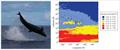 © NOAA Fisheries (Permit #20311)