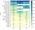 © NOAA Fisheries