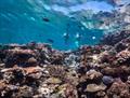 © Tourism and Events Queensland