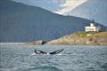 © NOAA Fisheries / Suzie Teerlink, permit #14296