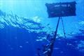 Example of a FAD in the ocean. Currently, most FADs are equipped with satellite tracking devices to allow vessels to track them at sea. About 75percent are also equipped with sonar buoys that help measure the volume of fish congregated underneath the FAD