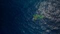 © The Ocean Cleanup