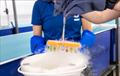 © Mote Marine Laboratory & Aquarium