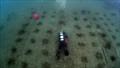 &copy; One Ocean Foundation