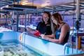 &copy; Mote Marine Laboratory & Aquarium