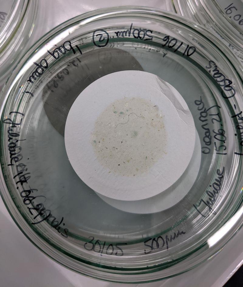 Microplastic filter results photo copyright Aaron Beck / GEOMAR Helmholtz Centre taken at  and featuring the Environment class