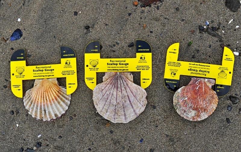Scallop season photo copyright NRE Tas taken at  and featuring the Environment class
