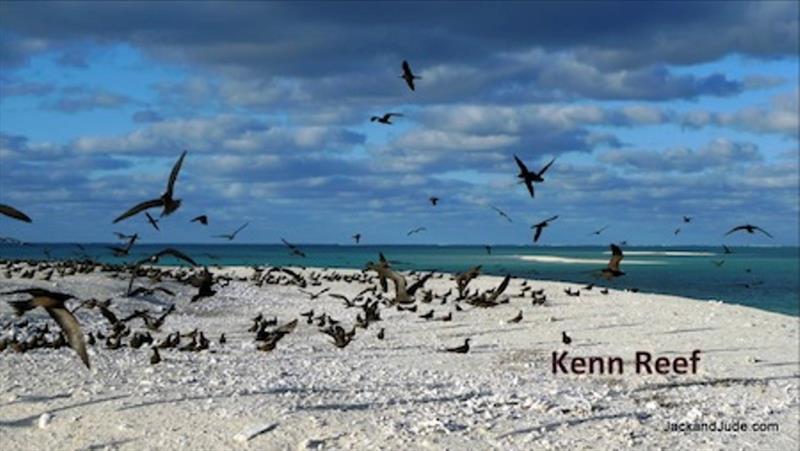 Bird life abounds on these isolated reefs and cays. - photo © Jack and Jude Binder.