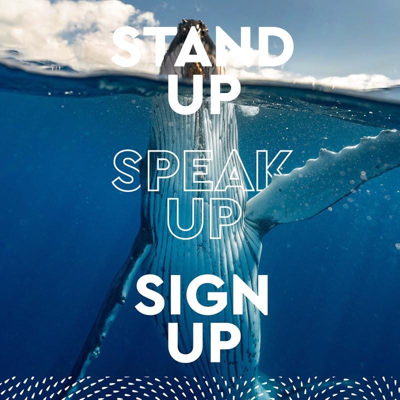 The Ocean Race's One Blue Voice campaign will ask people to stand up, speak up and sign-up for ocean rights photo copyright Elianne Dipp taken at  and featuring the Environment class