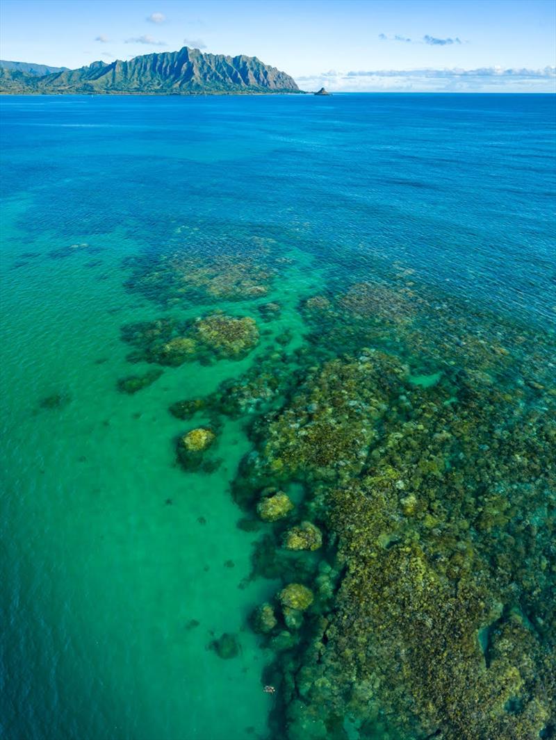 An aerial view of Kaneohe Bay's network of patch reefs taken during the 2019 bleaching event photo copyright Chuck Babbit Photography taken at  and featuring the Environment class