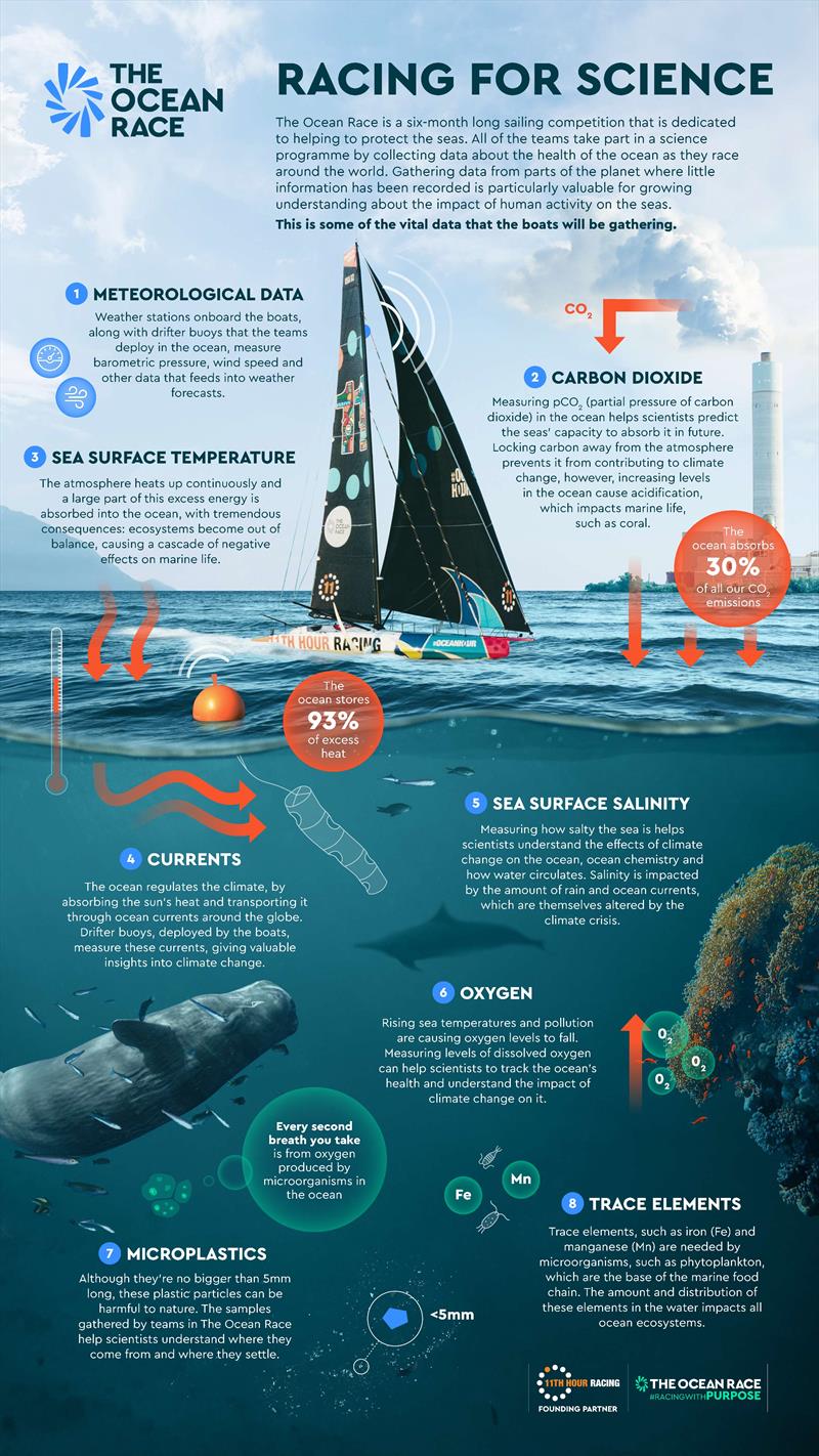 All the sailing in a poster infographic 