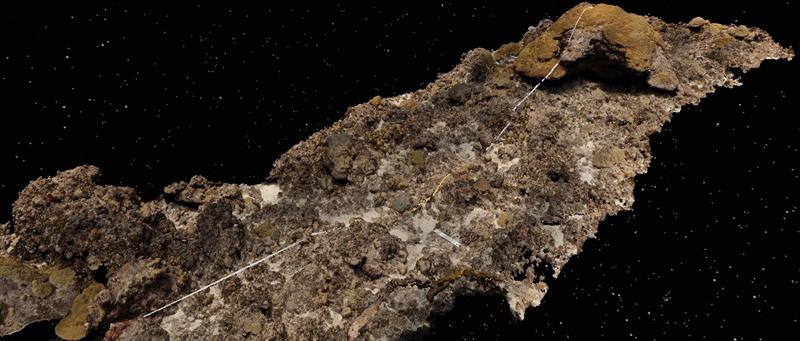 This model of a coral reef was created by thousands of photographs, or `structure-from-motion` photogrammetry - photo © NOAA Fisheries