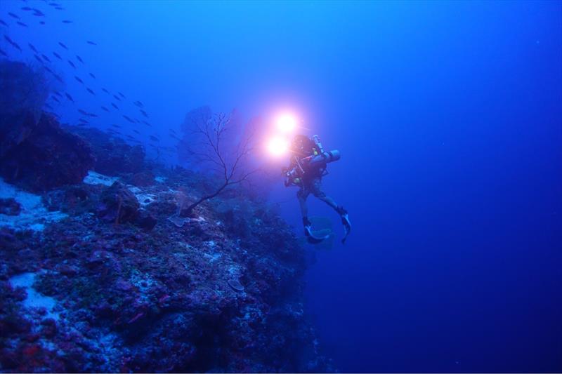 A diver photographs a deep-sea coral ecosystem at 260 feet in the National Marine Sanctuary of American Samoa - photo © R.L. Pyle, under Creative Commons License
