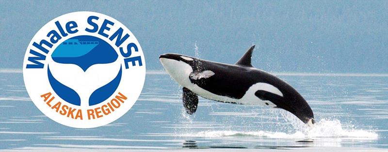 Alaskan Whale photo copyright NOAA Fisheries taken at  and featuring the Environment class
