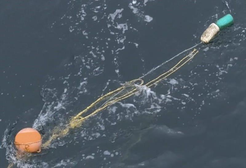 This orange buoy marked with an `R`, indicating it belongs to the California experimental box crab fishery, was involved with a humpback whale entanglement reported near Santa Cruz Island, CA photo copyright Newport Coastal Adventure taken at  and featuring the Environment class