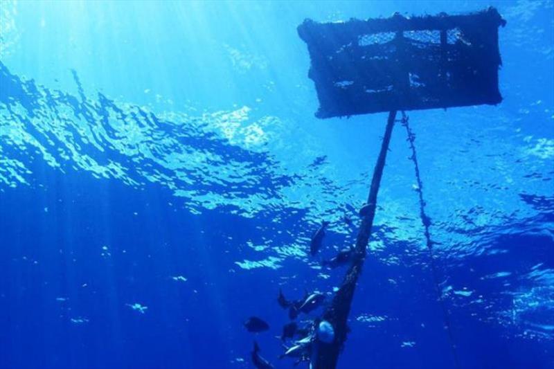 Example of a FAD in the ocean. Currently, most FADs are equipped with satellite tracking devices to allow vessels to track them at sea. About 75percent are also equipped with sonar buoys that help measure the volume of fish congregated underneath the FAD photo copyright International Seafood Sustainability Foundation taken at  and featuring the Environment class