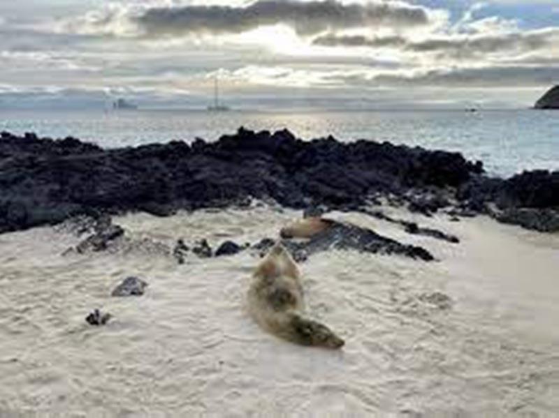 Pacific Ocean photo copyright Noonsite taken at  and featuring the Environment class