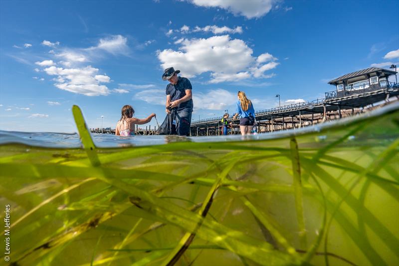 Seagrass seed collection on Isle of Wight photo copyright Lewis Jefferies taken at  and featuring the Environment class
