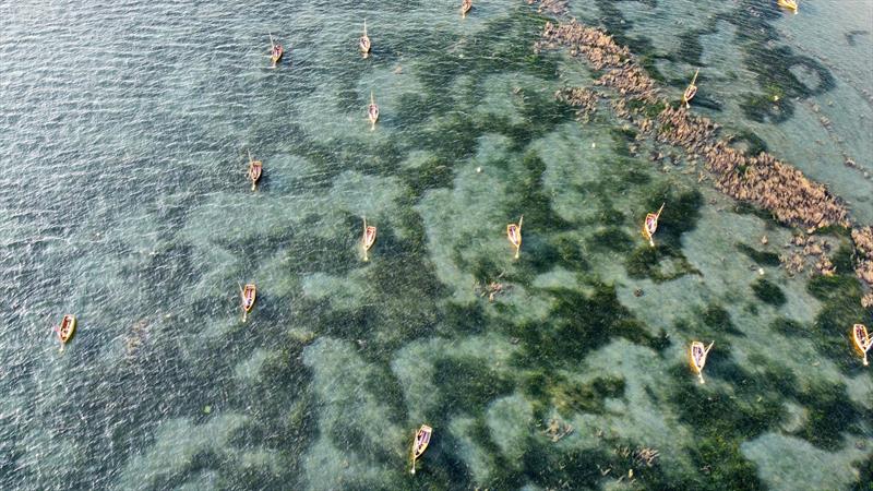 Seagrass meadow scars at Seaview, Isle of Wight photo copyright Anouska Mendzil, Project Seagrass taken at  and featuring the Environment class
