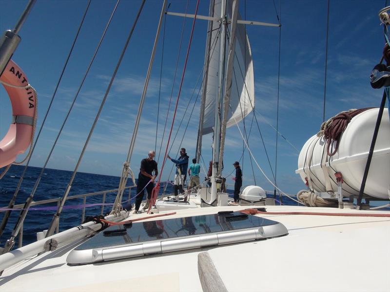 Call for sailors to become Pacific plastic hunters this summer photo copyright The Ocean Cleanup taken at  and featuring the Environment class
