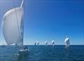 Columbus Match Racing Team – 3 rd in the last race. It must have been Bill's wine glass VMG and Bill sending us a message that he can still take us all on! © Geographe Bay Yacht Club