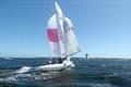 Go With The Flow sits at the top of the series leader board in the East Gippsland Etchells Championship, but with one race to go, the series win is not guaranteed