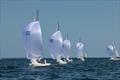 Second Place Overall Series, Louise: Thomas Carruthers / Bill Hardesty / Jeff Reynolds - 2022/2023 Etchells Biscayne Bay Series - Mid-Winter East Regatta © Nic Brunk