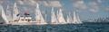 2022/2023 Etchells Biscayne Bay Series - Mid-Winter East Regatta © Peter Vanderlaan