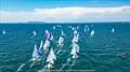 Etchells World Championship © Nic Douglass @SailorGirlHQ