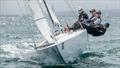 All set for the 2026 Etchells World Championships in San Diego &copy; Mark Albertazzi