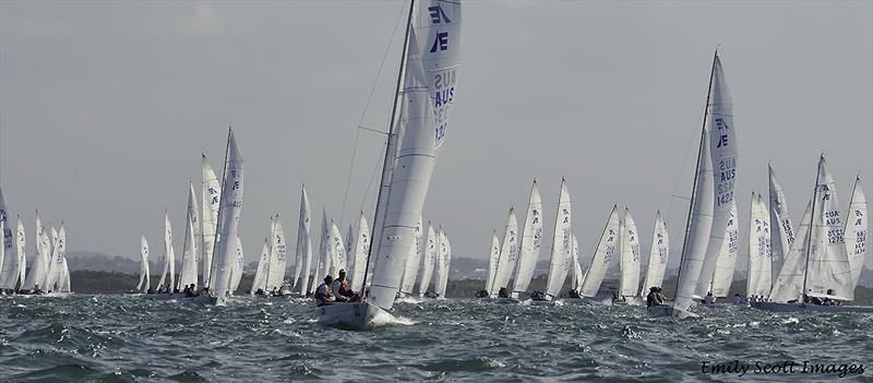 95 Etchells is a lot of boats on day 1 of the 2018 Etchells World Championship photo copyright Emily Scott Images taken at Royal Queensland Yacht Squadron and featuring the Etchells class