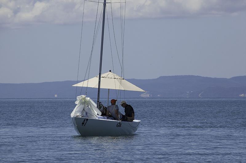 Magpie gets out of the fierce sun on day 1 of the 2018 Etchells World Championship photo copyright John Curnow taken at Royal Queensland Yacht Squadron and featuring the Etchells class