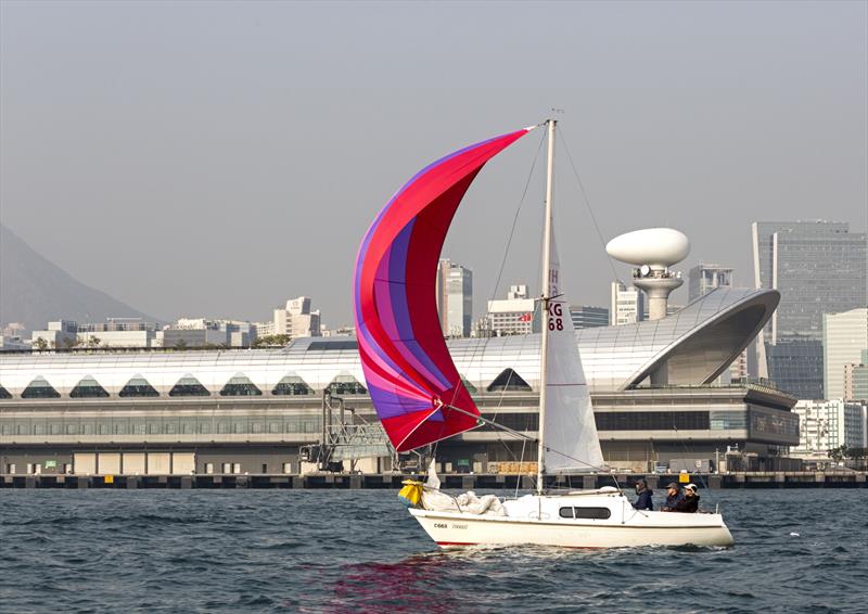 Solstice. HKRNVR Memorial Vase 2018 photo copyright Guy Nowell / RHKYC taken at  and featuring the Etchells class