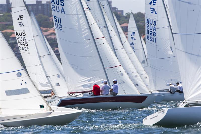 Etchells on Sydney Harbour - Etchells NSW Championship - photo © Andrea Francolini