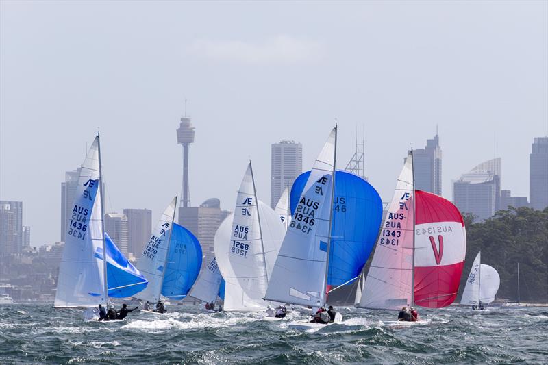 Great conditions was how Andrea put it - certainly was photo copyright Andrea Francolini taken at Royal Sydney Yacht Squadron and featuring the Etchells class