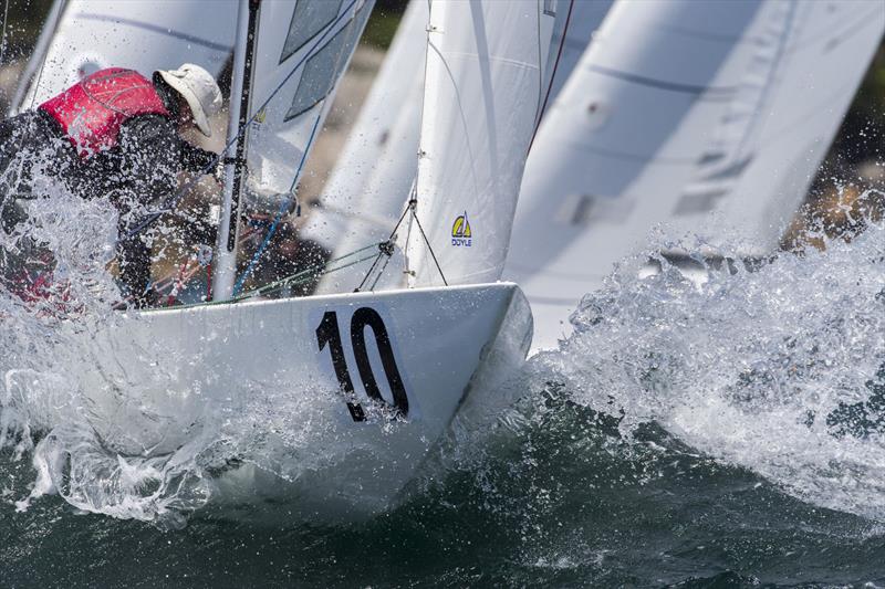 The pointy end of an Etchells is just that - pointy! photo copyright Andrea Francolini taken at Royal Sydney Yacht Squadron and featuring the Etchells class